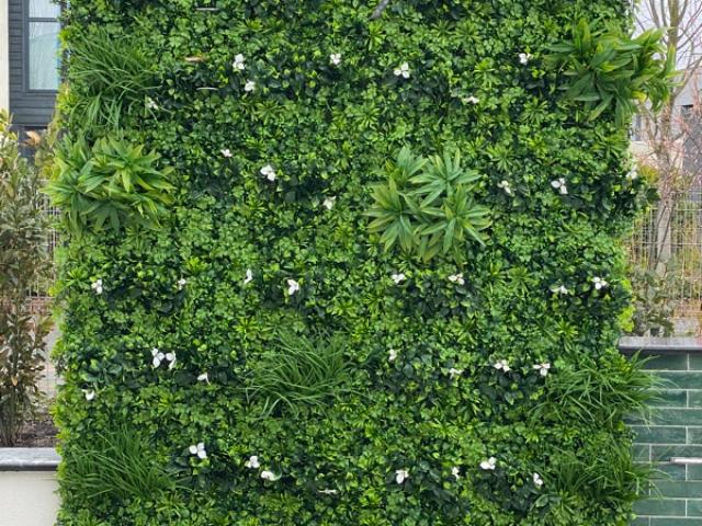 Pose de mur végétal et feuillage artificiel 