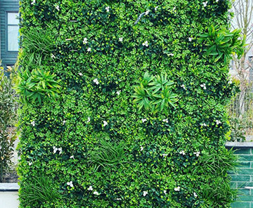 Création de mur végétal décoratif